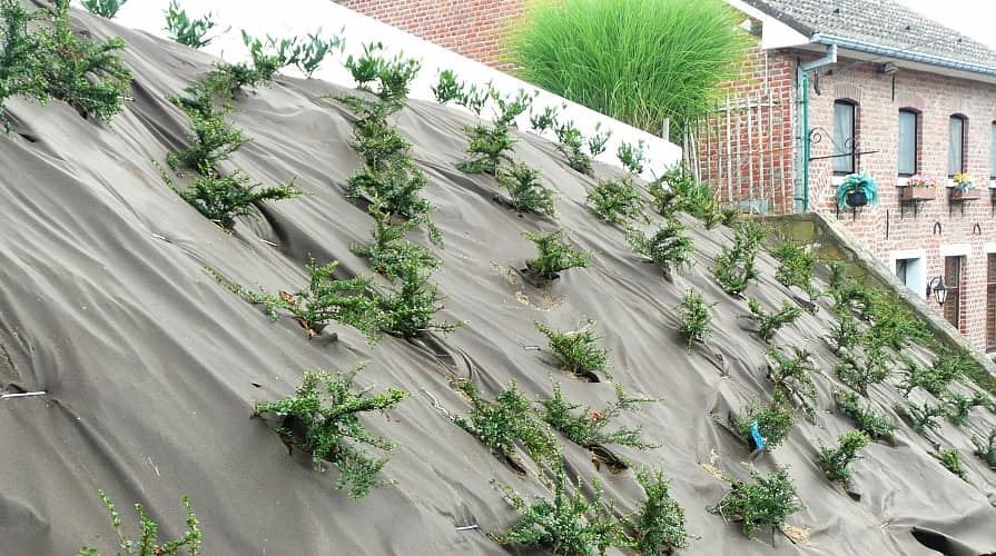Bio-Mulchvlies aus Biomasse zum vorübergehenden Böschungsschutz vor Erosion und Unkraut