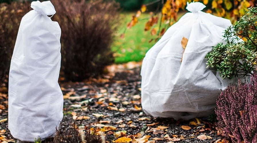 Weißes Gartenvlies als Wintervlies