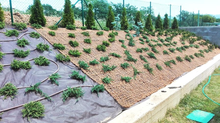 Gartenvlies als Unkrautvlies
